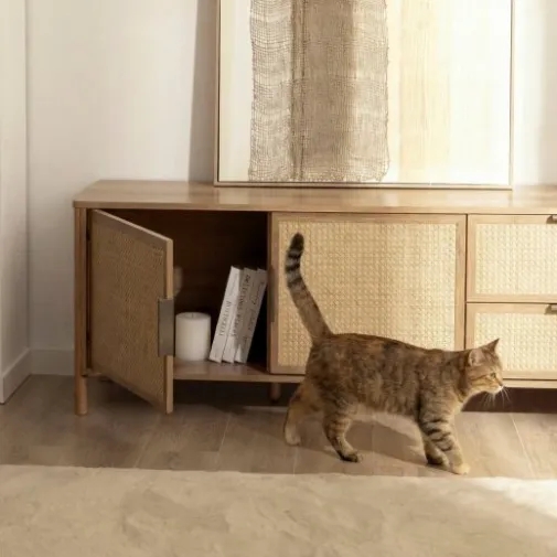 Klast Home Muebles Tv>Bent